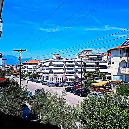 Filoxenia سكوتينا